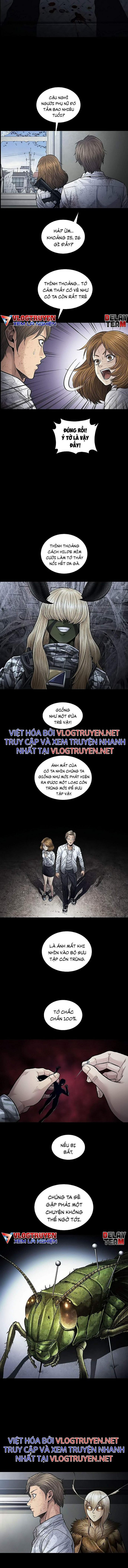 Đọc truyện Hive - Thảm họa ong độc - Chap 264